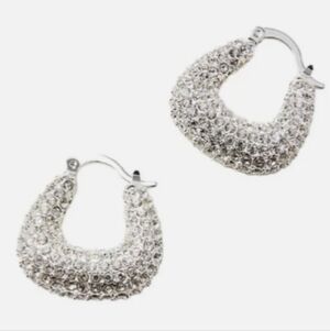 Loft Crystal Hoop Earrings